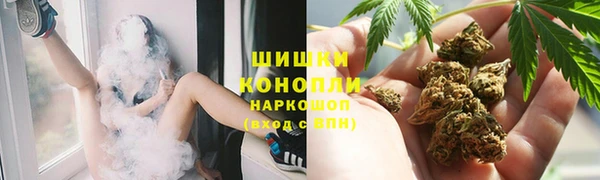 дживик Богданович