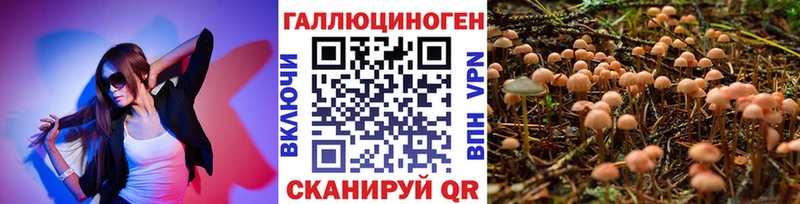Галлюциногенные грибы MAGIC MUSHROOMS Белово