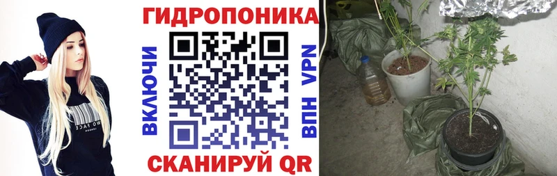 нарко площадка официальный сайт  блэк спрут ссылка  Белово  МАРИХУАНА тримм 